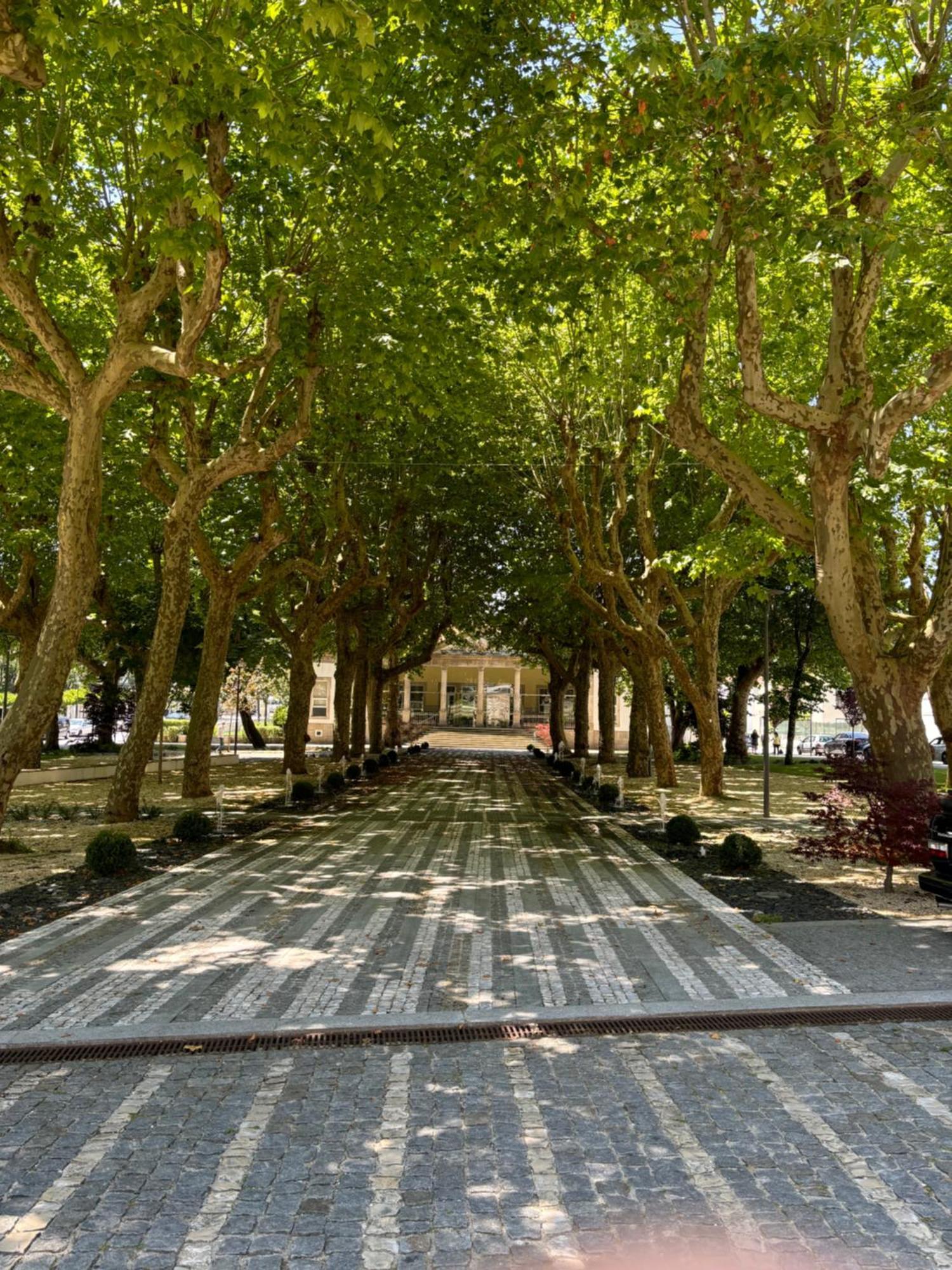 Aconchego Home Caldas de Sao Jorge Kültér fotó